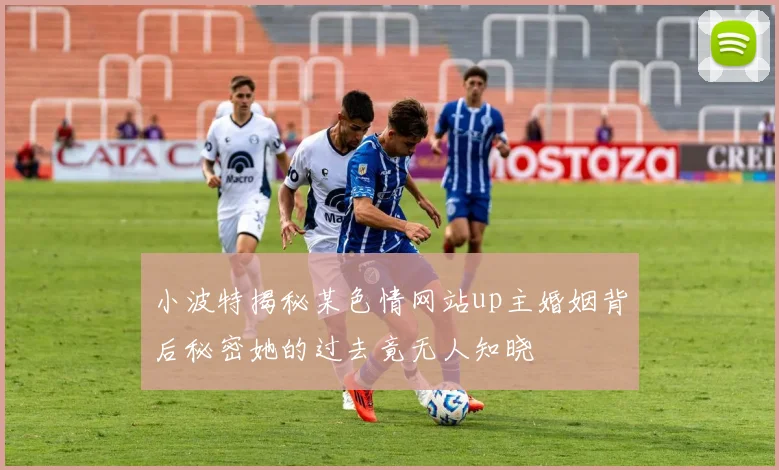 小波特揭秘某色情网站up主婚姻背后秘密她的过去竟无人知晓