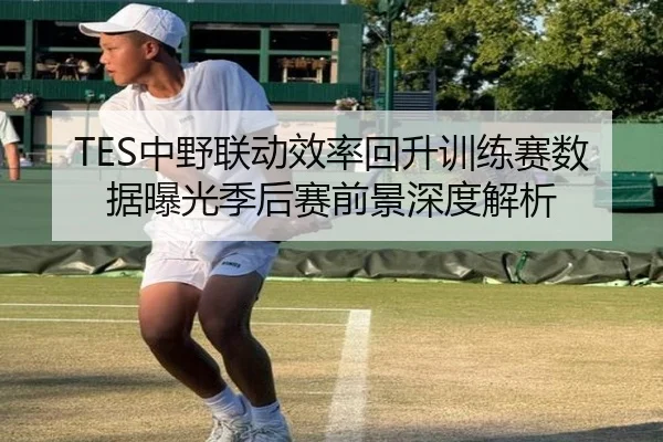 TES中野联动效率回升训练赛数据曝光季后赛前景深度解析